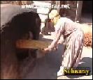 Sulusaray