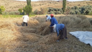 sulusaray-ekin-bicme(1)