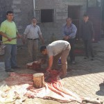 sulusaray-kurban-2015 (45)