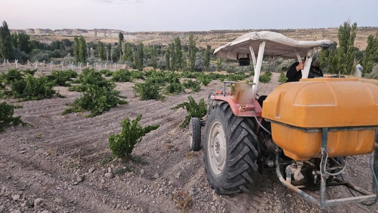 Kasabamızda Üzüm Bağları İlaçlanmaya Devam Ediyor