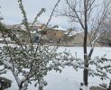 Kasabamıza 11 Nisanda 11 cm Kar! Bu Gece Zirai Don Tehlikesi!