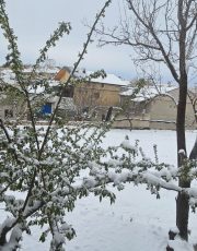 Kasabamıza 11 Nisanda 11 cm Kar! Bu Gece Zirai Don Tehlikesi!