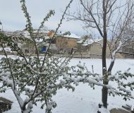 Kasabamıza 11 Nisanda 11 cm Kar! Bu Gece Zirai Don Tehlikesi!