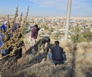 Kasabamız İlkokulu Öğrencilerinden Hatıra Ormanı