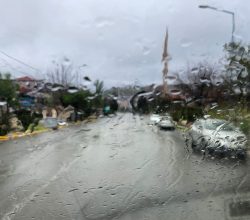 Kasabamızda Son 66 Yılın En Bereketli Baharı Yaşanıyor