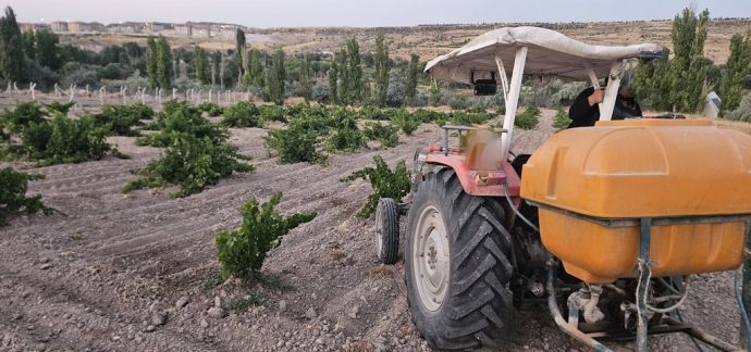 Kasabamızda Üzüm Bağları İlaçlanmaya Devam Ediyor