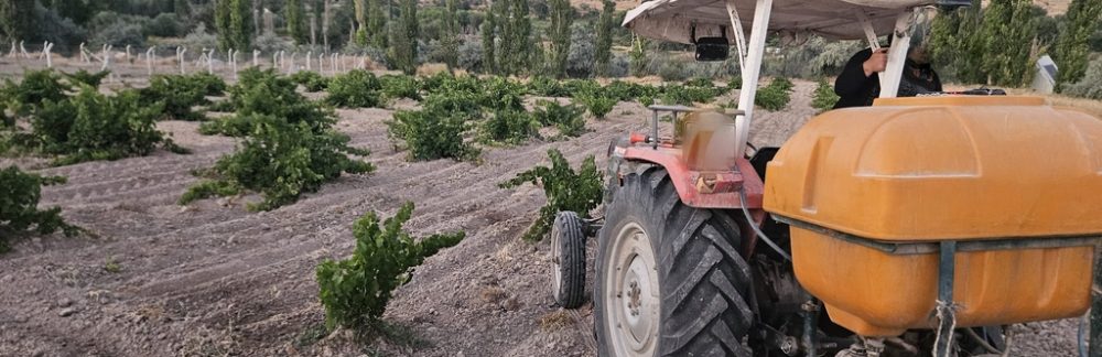 Kasabamızda Üzüm Bağları İlaçlanmaya Devam Ediyor