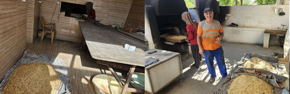Türkiyede 1 Numara Olan Çerezlik Kabak Çekirdeği Kavrumu Kasabamızda Son Hız Devam Ediyor