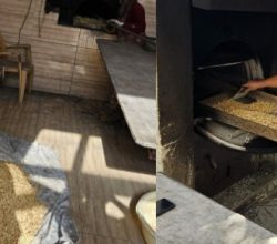 Türkiyede 1 Numara Olan Çerezlik Kabak Çekirdeği Kavrumu Kasabamızda Son Hız Devam Ediyor