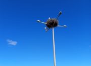 Narin Leylek 15. Yılda da Kasabamızda Aynı Yerine Geldi