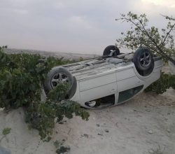 Direksiyon hakimiyetini kaybeden sürücü üzüm bağına uçtu